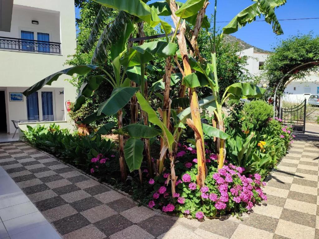 Dorian Bali Apartments Экстерьер фото